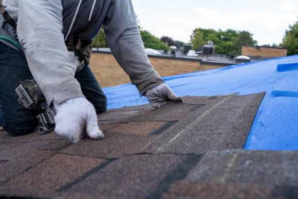 Best Roof Maintenance Services  in Shil, OH