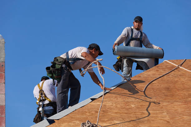 Best Flat Roof Repair Services  in Shil, OH
