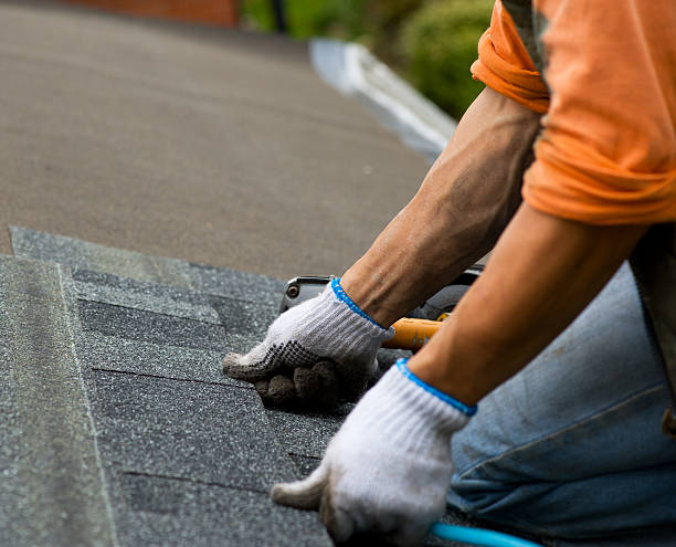 Best Roof Restoration Services  in Shil, OH